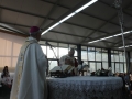 06-_12_Aprile_2015_Parco_Della_Divina_Misericordia_Santa_Messa_Mons._Antonio_Staglian_(45)