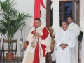 07-_12_Aprile_2015_Parco_Della_Divina_Misericordia_Santa_Messa_Mons._Antonio_Staglian__(109)