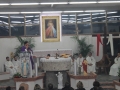 10-_22_Febbraio_2015_Parco_Della_Divina_Misericordia_._(104)